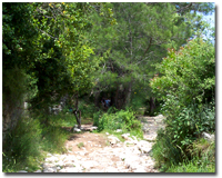 Around the camp