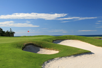 Golf Courses